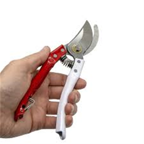 DESA EKO BAĞ MAKASI PROFESYONEL KIRMIZI BEYAZ 